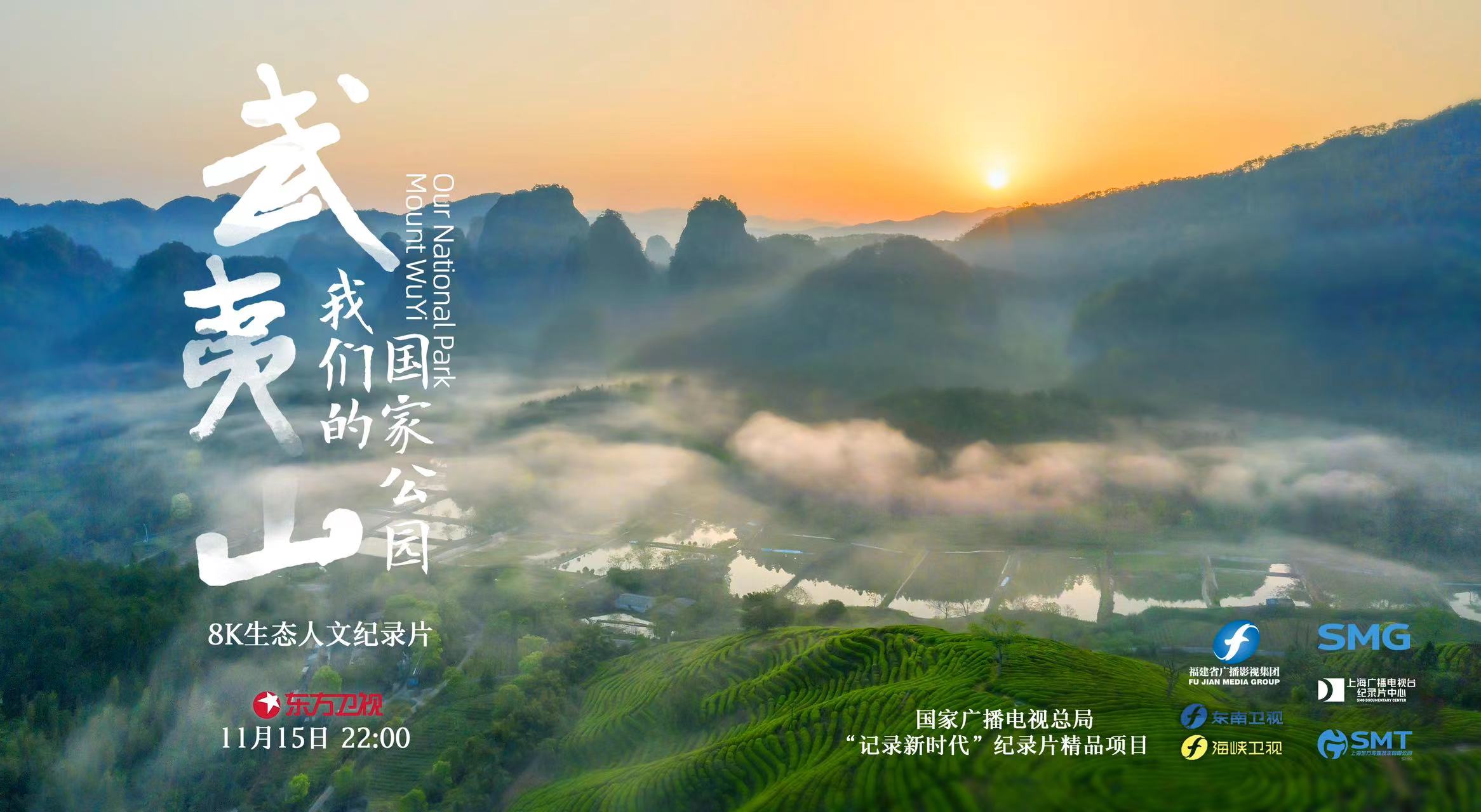 沉浸式观后杂谈